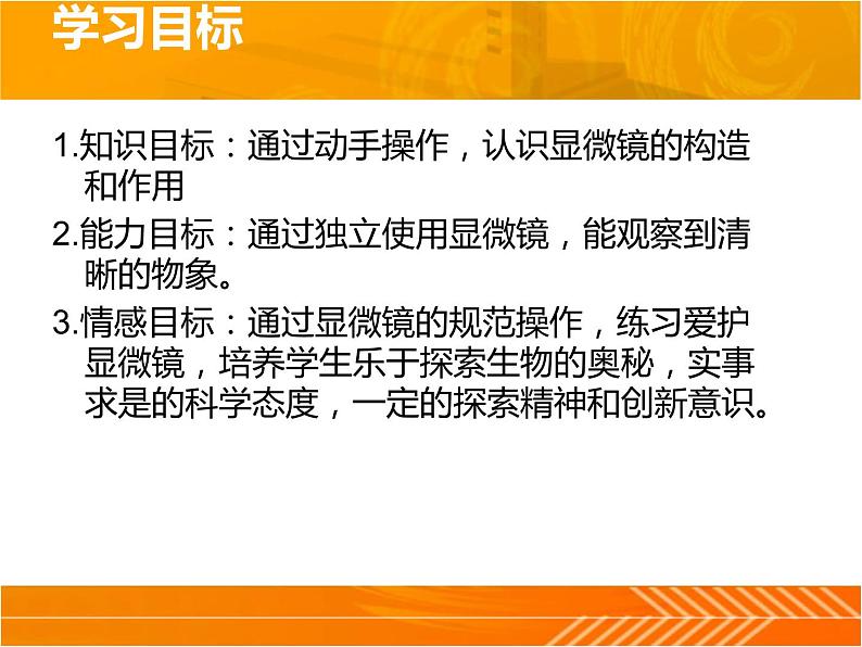 1.1.4生物学的研究工具第1课时课件 2024年初中秋季济南版生物七年级上册02