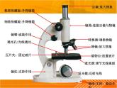 1.1.4生物学的研究工具第1课时课件 2024年初中秋季济南版生物七年级上册