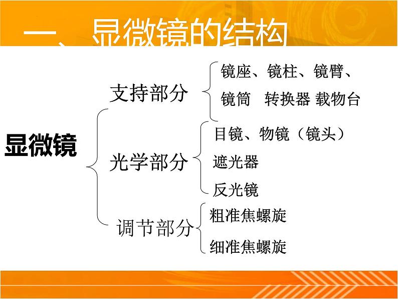 1.1.4生物学的研究工具第1课时课件 2024年初中秋季济南版生物七年级上册05