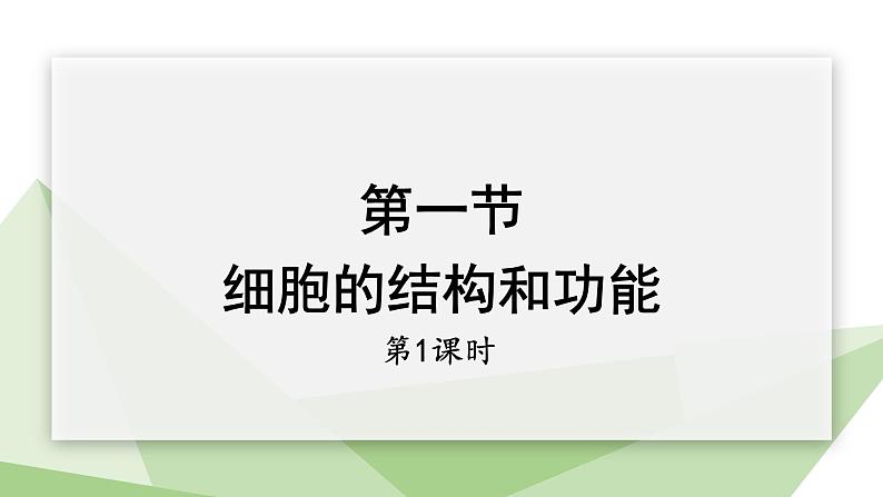 1.2.1 细胞的结构和功能 课时1 课件  2024年初中秋季济南版生物七年级上册01