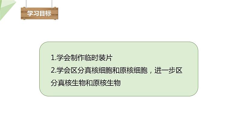 1.2.1 细胞的结构和功能 课时1 课件  2024年初中秋季济南版生物七年级上册02