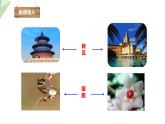 1.2.1 细胞的结构和功能 课时1 课件  2024年初中秋季济南版生物七年级上册