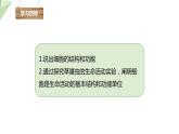 1.2.1 细胞的结构和功能 课时2 课件---- 2024年初中秋季济南版生物七年级上册