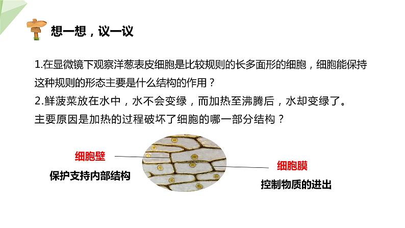 1.2.1 细胞的结构和功能 课时2 课件---- 2024年初中秋季济南版生物七年级上册05