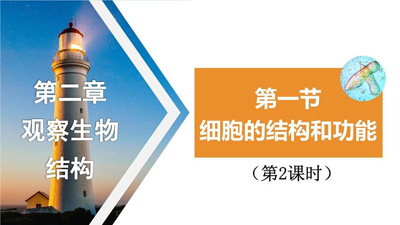 1.2.1 细胞的结构和功能（第二课时）课件)2024年初中秋季济南版生物七年级上册01