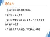 1.2.1 细胞的结构和功能（第二课时）课件)2024年初中秋季济南版生物七年级上册
