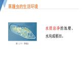 1.2.1 细胞的结构和功能（第二课时）课件)2024年初中秋季济南版生物七年级上册