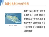 1.2.1 细胞的结构和功能（第二课时）课件)2024年初中秋季济南版生物七年级上册