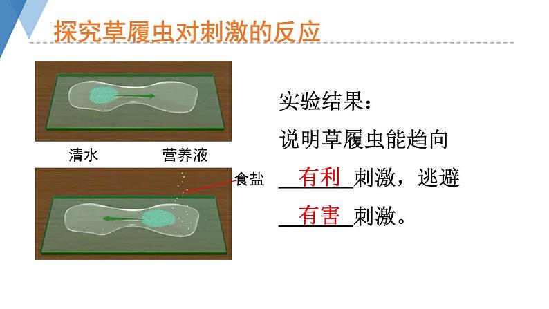 1.2.1 细胞的结构和功能（第二课时）课件)2024年初中秋季济南版生物七年级上册08