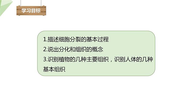 1.2.2 细胞的分裂与分化 课件2024年初中秋季济南版生物七年级上册02