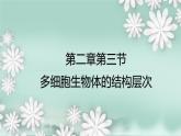 1.2.3  多细胞生物体的结构层次  课件2024年初中秋季济南版生物七年级上册