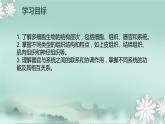 1.2.3  多细胞生物体的结构层次  课件2024年初中秋季济南版生物七年级上册