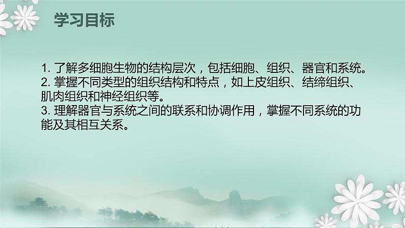 1.2.3  多细胞生物体的结构层次  课件2024年初中秋季济南版生物七年级上册02