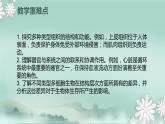 1.2.3  多细胞生物体的结构层次  课件2024年初中秋季济南版生物七年级上册