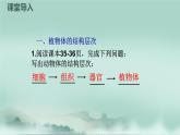 1.2.3  多细胞生物体的结构层次  课件2024年初中秋季济南版生物七年级上册