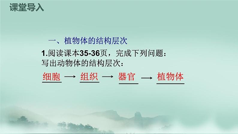 1.2.3  多细胞生物体的结构层次  课件2024年初中秋季济南版生物七年级上册04