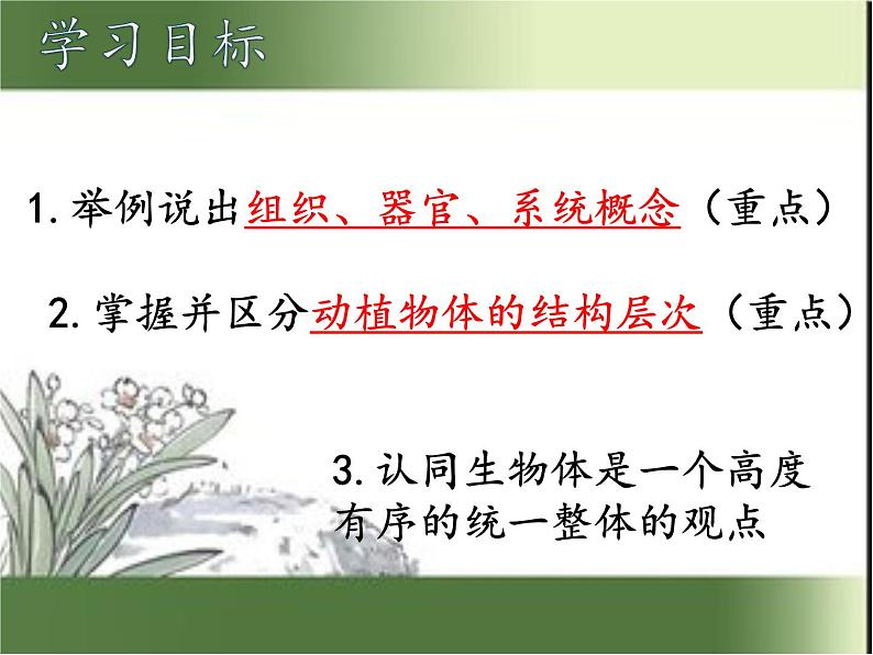 1.2.3 多细胞生物体的结构层次课件2024年初中秋季济南版生物七年级上册第4页