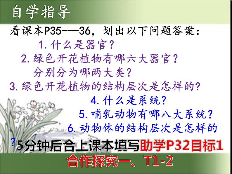 1.2.3 多细胞生物体的结构层次课件2024年初中秋季济南版生物七年级上册第5页