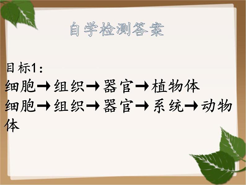 1.2.3 多细胞生物体的结构层次课件2024年初中秋季济南版生物七年级上册第6页