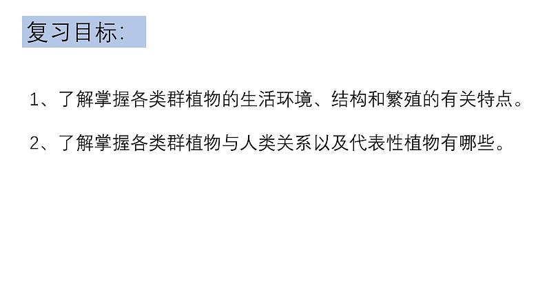 2.1 生物圈中的绿色植物 复习课件2024年初中秋季济南版生物七年级上册04