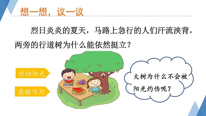 2.1.2 绿色植物的蒸腾作用课件2024年初中秋季济南版生物七年级上册第2页