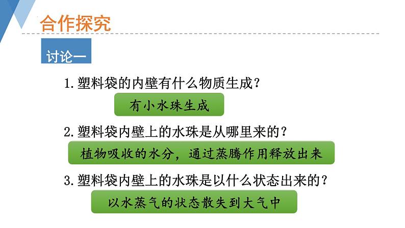 2.1.2 绿色植物的蒸腾作用课件2024年初中秋季济南版生物七年级上册第6页