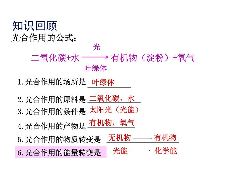 2.1.4  绿色植物的呼吸作用  课件2024年初中秋季济南版生物七年级上册02