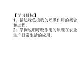 2.1.4  綠色植物的呼吸作用  課件2024年初中秋季濟(jì)南版生物七年級(jí)上冊(cè)