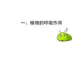 2.1.4  綠色植物的呼吸作用  課件2024年初中秋季濟(jì)南版生物七年級(jí)上冊(cè)