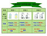 2.1.4  綠色植物的呼吸作用  課件2024年初中秋季濟(jì)南版生物七年級(jí)上冊(cè)