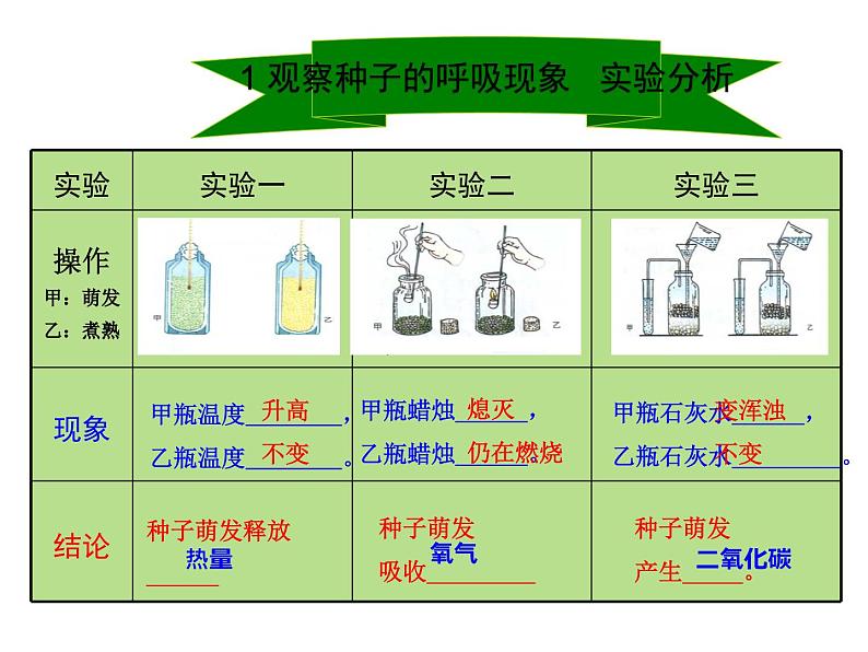 2.1.4  绿色植物的呼吸作用  课件2024年初中秋季济南版生物七年级上册05