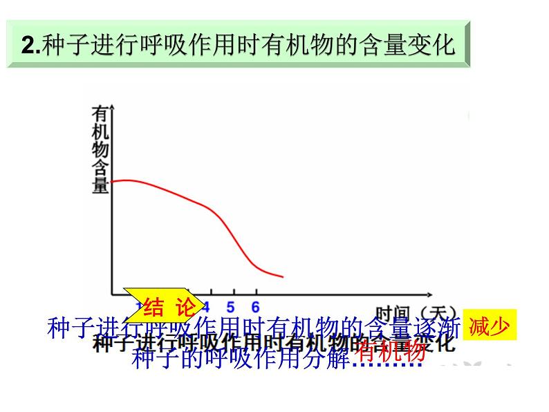 2.1.4  绿色植物的呼吸作用  课件2024年初中秋季济南版生物七年级上册06