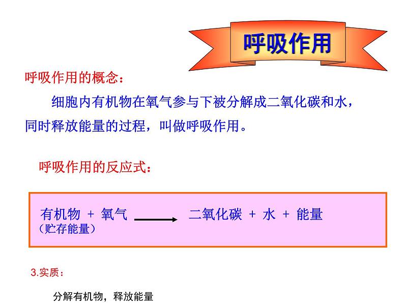 2.1.4  绿色植物的呼吸作用  课件2024年初中秋季济南版生物七年级上册08