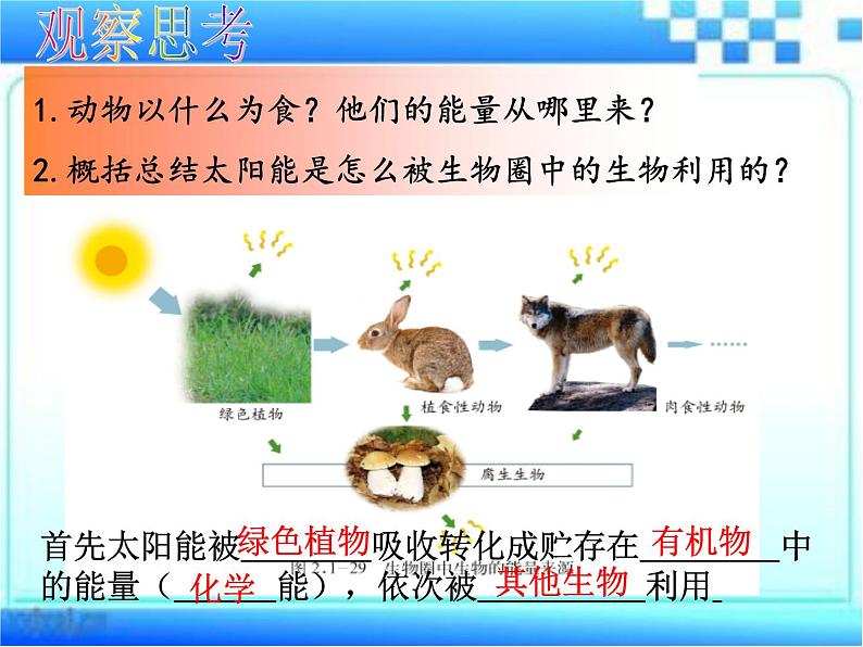 2.1.5 绿色植物在生物圈中的作用课件2024年初中秋季济南版生物七年级上册06