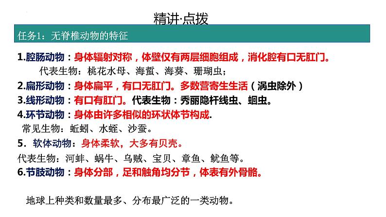 2.2.1无脊椎动物的主要类群复习课件 2024年初中秋季济南版生物七年级上册03