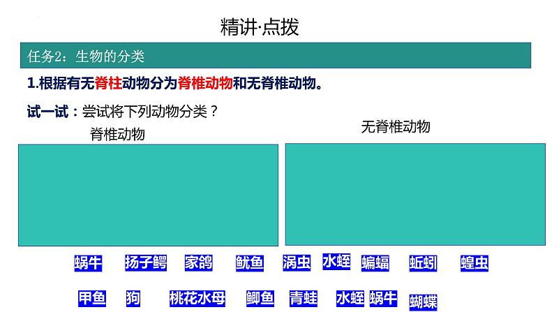 2.2.1无脊椎动物的主要类群复习课件 2024年初中秋季济南版生物七年级上册04