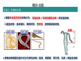 2.2.1无脊椎动物的主要类群复习课件 2024年初中秋季济南版生物七年级上册