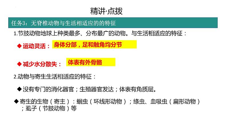 2.2.1无脊椎动物的主要类群复习课件 2024年初中秋季济南版生物七年级上册06