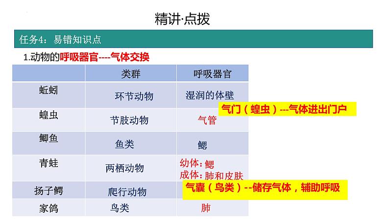 2.2.1无脊椎动物的主要类群复习课件 2024年初中秋季济南版生物七年级上册07