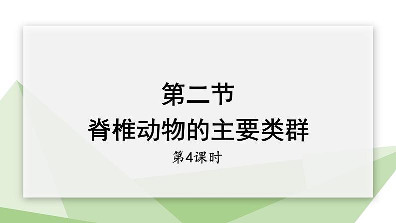 2.2.2 脊椎动物的主要类群 课时4 课件2024年初中秋季济南版生物七年级上册01