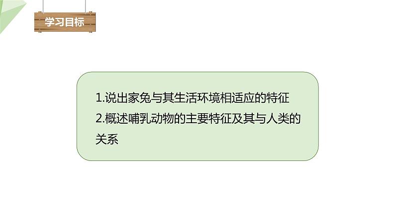 2.2.2 脊椎动物的主要类群 课时4 课件2024年初中秋季济南版生物七年级上册02