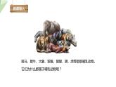2.2.2 脊椎動(dòng)物的主要類(lèi)群 課時(shí)4 課件2024年初中秋季濟(jì)南版生物七年級(jí)上冊(cè)