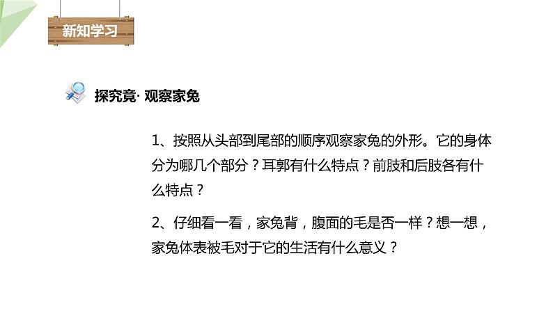 2.2.2 脊椎动物的主要类群 课时4 课件2024年初中秋季济南版生物七年级上册04