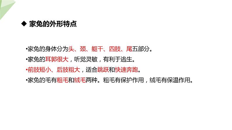 2.2.2 脊椎动物的主要类群 课时4 课件2024年初中秋季济南版生物七年级上册07