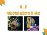 2.2.2脊椎動(dòng)物的主要類(lèi)群第1課時(shí)課件2024年初中秋季濟(jì)南版生物七年級(jí)上冊(cè)
