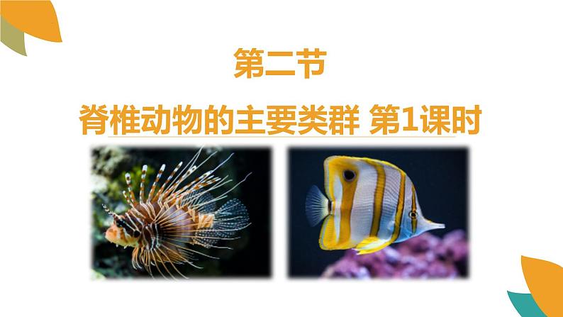 2.2.2脊椎动物的主要类群第1课时课件2024年初中秋季济南版生物七年级上册第1页