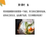 2.2.2脊椎動(dòng)物的主要類(lèi)群第1課時(shí)課件2024年初中秋季濟(jì)南版生物七年級(jí)上冊(cè)