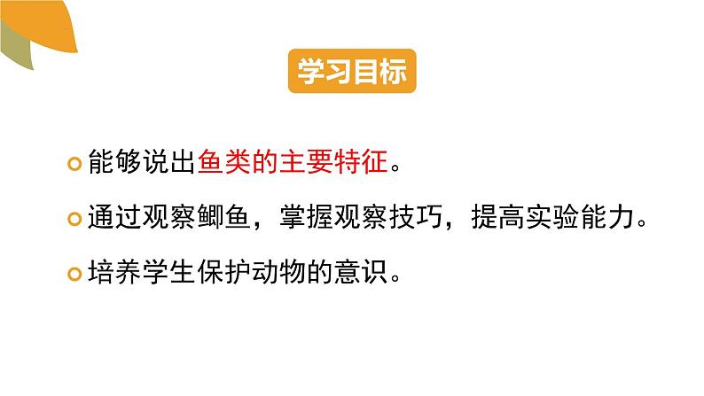 2.2.2脊椎动物的主要类群第1课时课件2024年初中秋季济南版生物七年级上册第3页