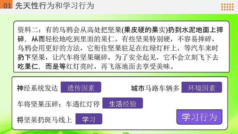 2.2.4  动物的行为  课件2024年初中秋季济南版生物七年级上册08