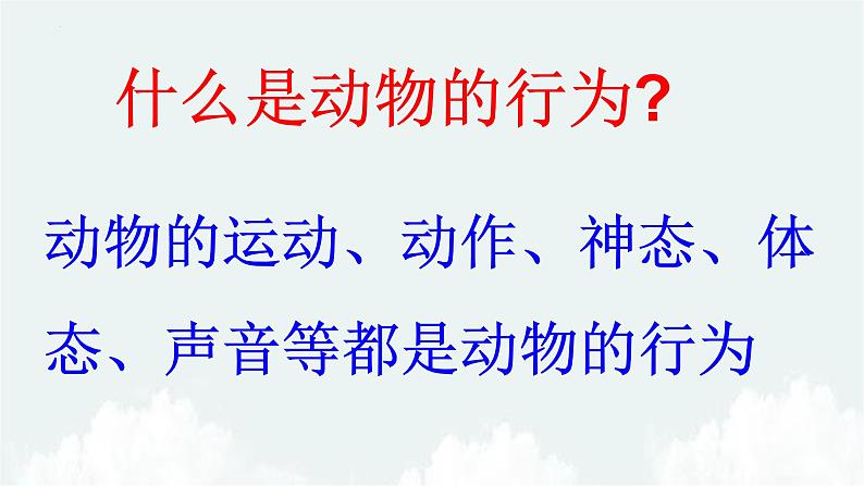 2.2.4动物的行为课件---2024年初中秋季济南版生物七年级上册05